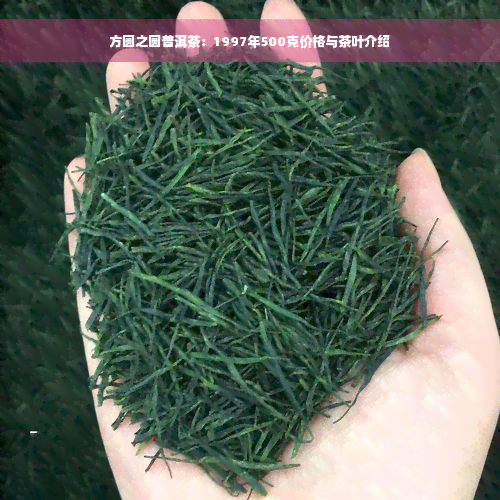 方圆之圆普洱茶：1997年500克价格与茶叶介绍