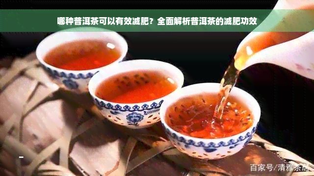 哪种普洱茶可以有效减肥？全面解析普洱茶的减肥功效