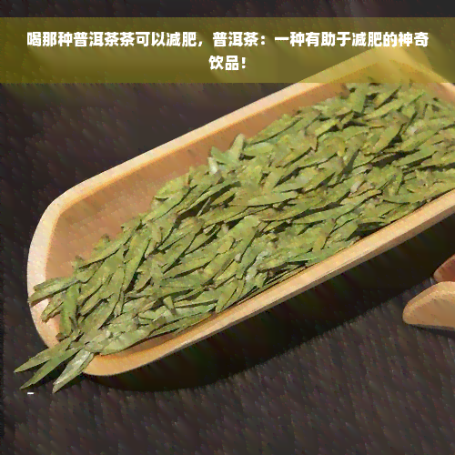 喝那种普洱茶茶可以减肥，普洱茶：一种有助于减肥的神奇饮品！