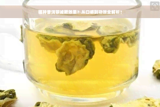 哪种普洱茶减肥效果？从口感到功效全解析！