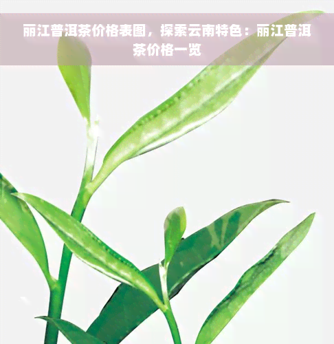 丽江普洱茶价格表图，探索云南特色：丽江普洱茶价格一览