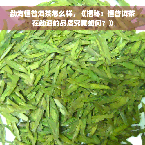 勐海恒普洱茶怎么样，《揭秘：恒普洱茶在勐海的品质究竟如何？》