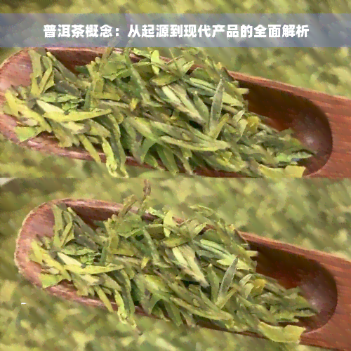 普洱茶概念：从起源到现代产品的全面解析