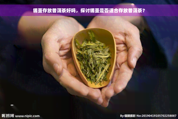 锡壶存放普洱茶好吗，探讨锡壶是否适合存放普洱茶？