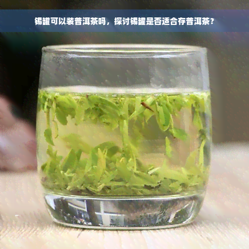 锡罐可以装普洱茶吗，探讨锡罐是否适合存普洱茶？