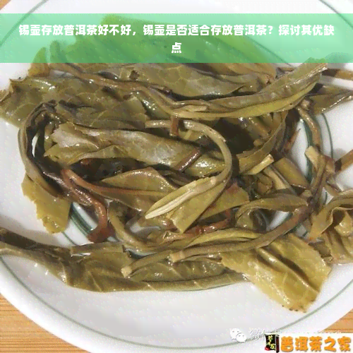 锡壶存放普洱茶好不好，锡壶是否适合存放普洱茶？探讨其优缺点