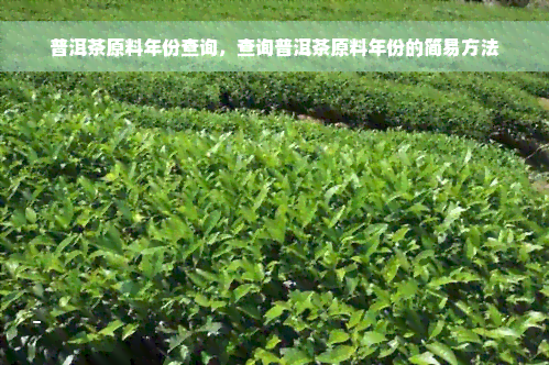 普洱茶原料年份查询，查询普洱茶原料年份的简易方法