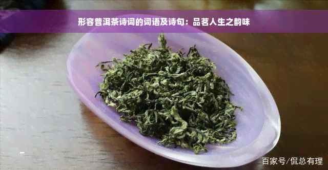 形容普洱茶诗词的词语及诗句：品茗人生之韵味