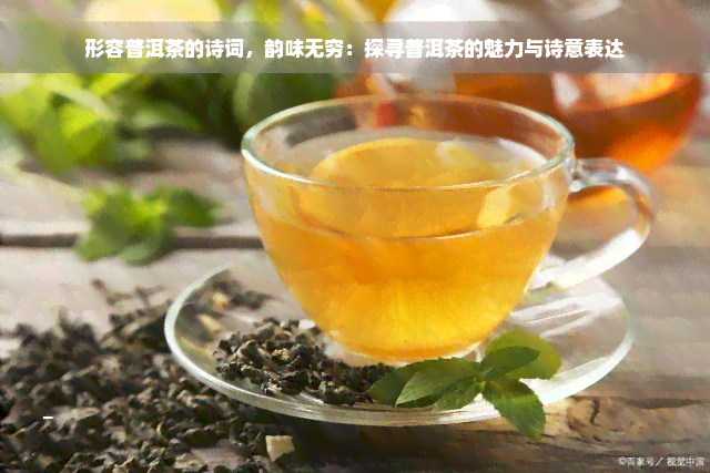 形容普洱茶的诗词，韵味无穷：探寻普洱茶的魅力与诗意表达