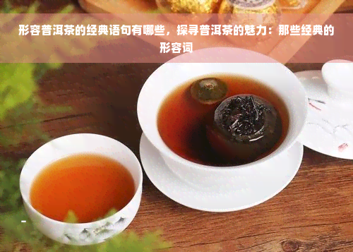 形容普洱茶的经典语句有哪些，探寻普洱茶的魅力：那些经典的形容词