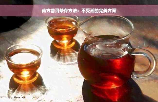 南方普洱茶存方法：不受潮的完美方案