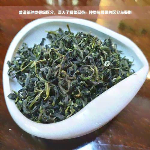 普洱茶种类等级区分，深入了解普洱茶：种类与等级的区分与鉴别