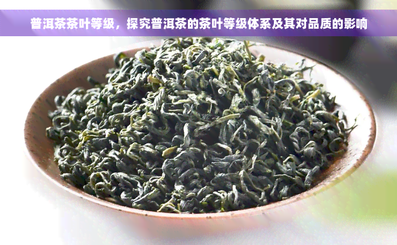 普洱茶茶叶等级，探究普洱茶的茶叶等级体系及其对品质的影响