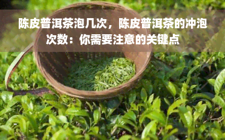 陈皮普洱茶泡几次，陈皮普洱茶的冲泡次数：你需要注意的关键点