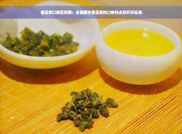 普洱茶口感区别图：全面解析普洱茶的口感特点及好坏标准