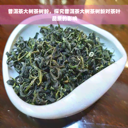 普洱茶大树茶树龄，探究普洱茶大树茶树龄对茶叶品质的影响