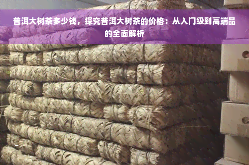 普洱大树茶多少钱，探究普洱大树茶的价格：从入门级到高端品的全面解析