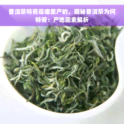 普洱茶特苦是哪里产的，揭秘普洱茶为何特苦：产地因素解析