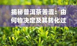 揭秘普洱茶苦涩：由何物决定及其转化过程