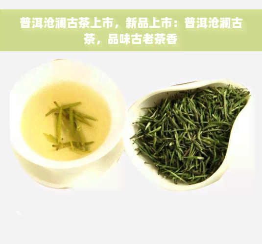 普洱沧澜古茶上市，新品上市：普洱沧澜古茶，品味古老茶香