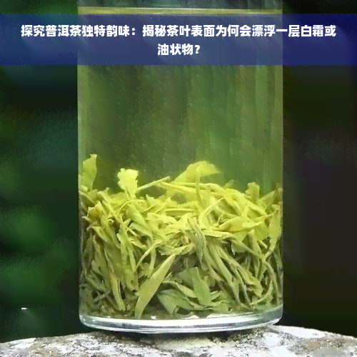 探究普洱茶独特韵味：揭秘茶叶表面为何会漂浮一层白霜或油状物？