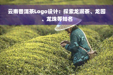 云南普洱茶Logo设计：探索龙润茶、龙园、龙珠等知名