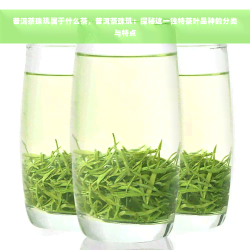 普洱茶珠玑属于什么茶，普洱茶珠玑：探秘这一独特茶叶品种的分类与特点