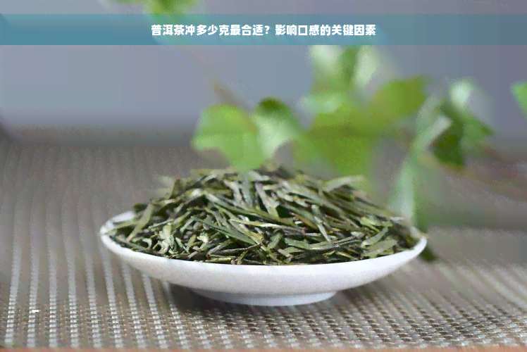 普洱茶冲多少克最合适？影响口感的关键因素