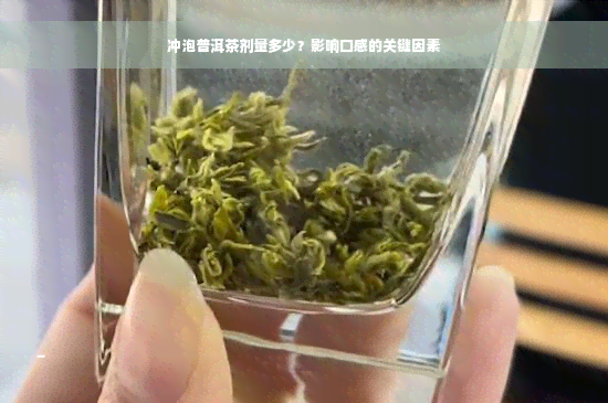 冲泡普洱茶剂量多少？影响口感的关键因素