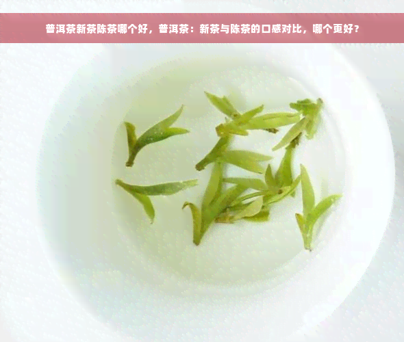 普洱茶新茶陈茶哪个好，普洱茶：新茶与陈茶的口感对比，哪个更好？