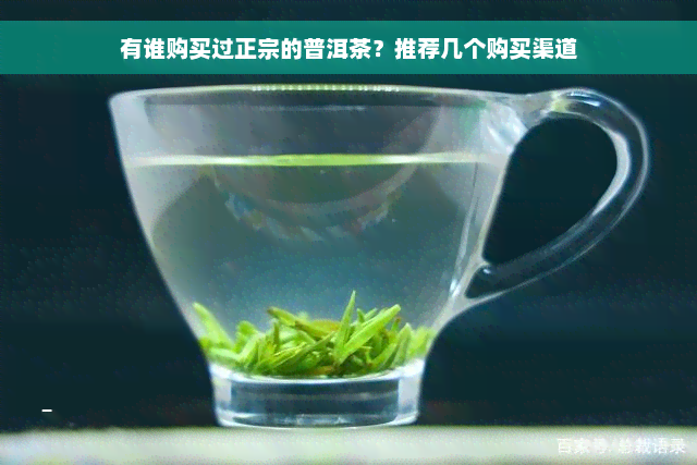 有谁购买过正宗的普洱茶？推荐几个购买渠道