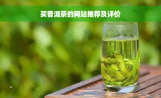 买普洱茶的网站推荐及评价