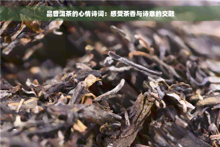 品普洱茶的心情诗词：感受茶香与诗意的交融