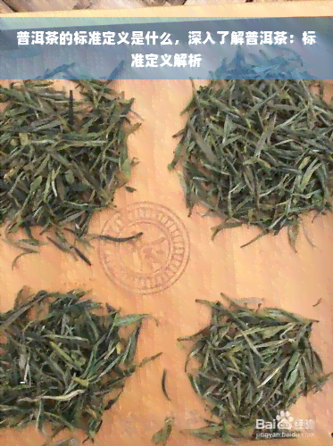 普洱茶的标准定义是什么，深入了解普洱茶：标准定义解析