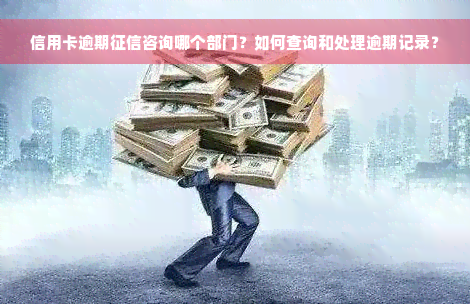 信用卡逾期征信咨询哪个部门？如何查询和处理逾期记录？