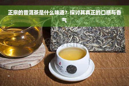 正宗的普洱茶是什么味道？探讨其真正的口感与香气