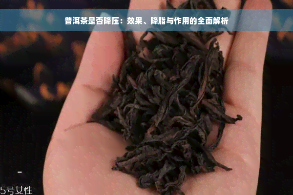 普洱茶是否降压：效果、降脂与作用的全面解析