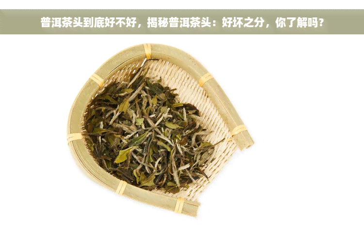 普洱茶头到底好不好，揭秘普洱茶头：好坏之分，你了解吗？