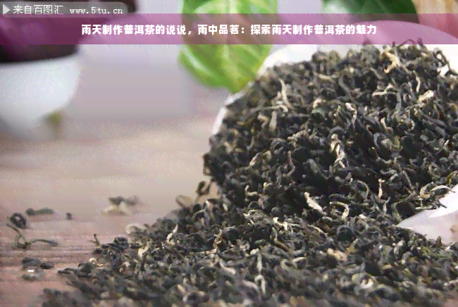 雨天制作普洱茶的说说，雨中品茗：探索雨天制作普洱茶的魅力