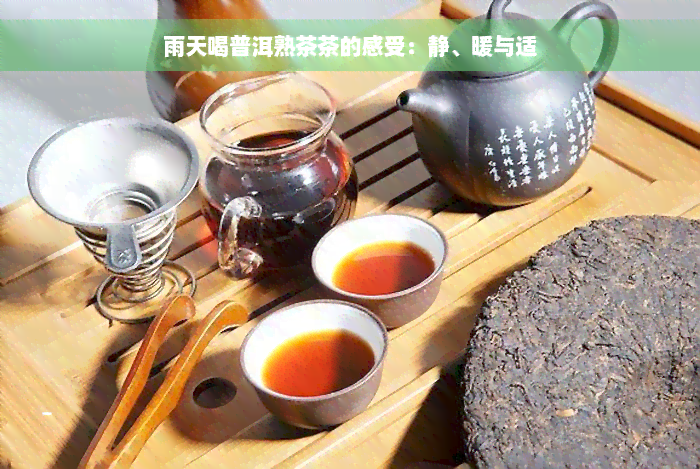 雨天喝普洱熟茶茶的感受：静、暖与适