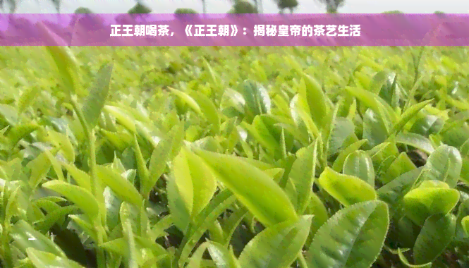 正王朝喝茶，《正王朝》：揭秘皇帝的茶艺生活