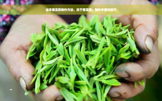 冰冻普洱茶制作方法，冻干普洱茶：制作步骤与技巧