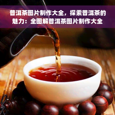 普洱茶图片制作大全，探索普洱茶的魅力：全图解普洱茶图片制作大全