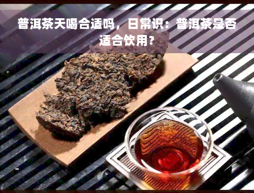 普洱茶天喝合适吗，日常识：普洱茶是否适合饮用？