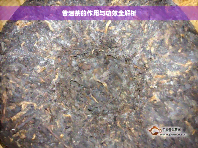 普洱茶的作用与功效全解析