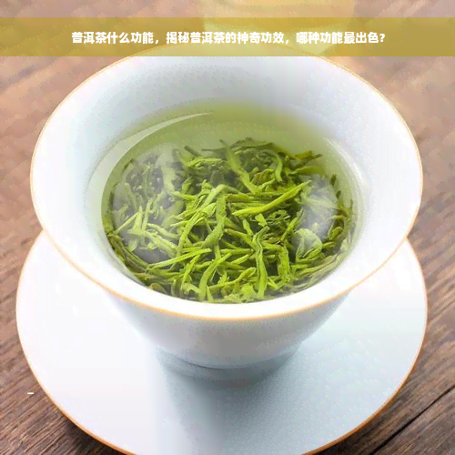 普洱茶什么功能，揭秘普洱茶的神奇功效，哪种功能最出色？