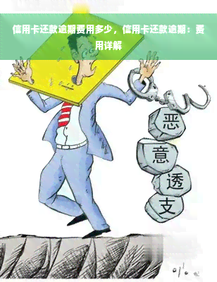 信用卡还款逾期费用多少，信用卡还款逾期：费用详解