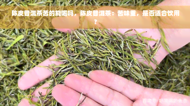 陈皮普洱茶苦的能喝吗，陈皮普洱茶：苦味重，是否适合饮用？