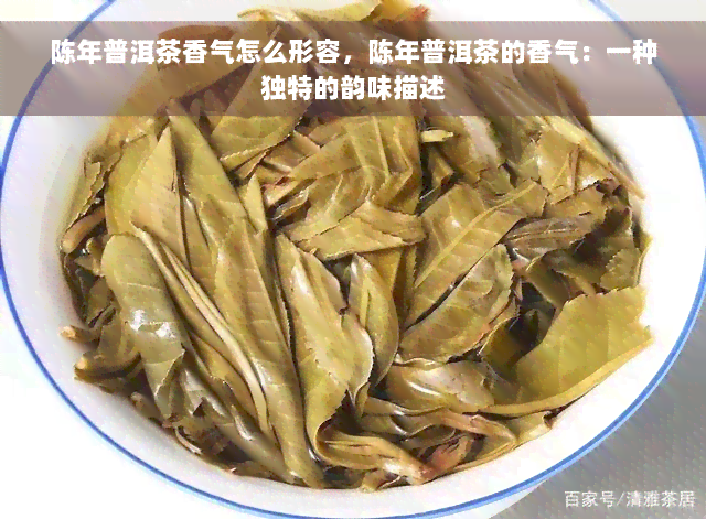 陈年普洱茶香气怎么形容，陈年普洱茶的香气：一种独特的韵味描述