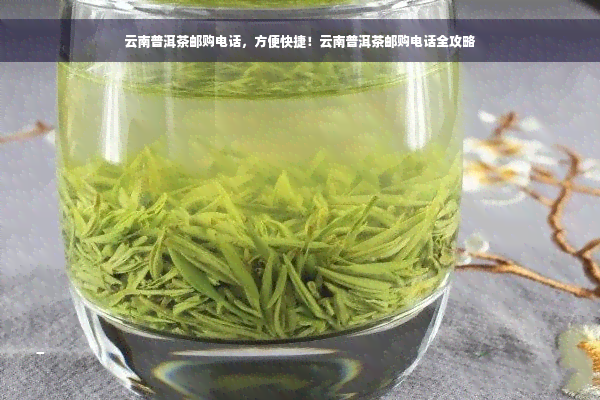 云南普洱茶邮购电话，方便快捷！云南普洱茶邮购电话全攻略